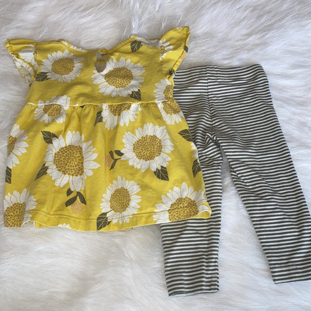 Sunflower Set - Picture 5 of 6